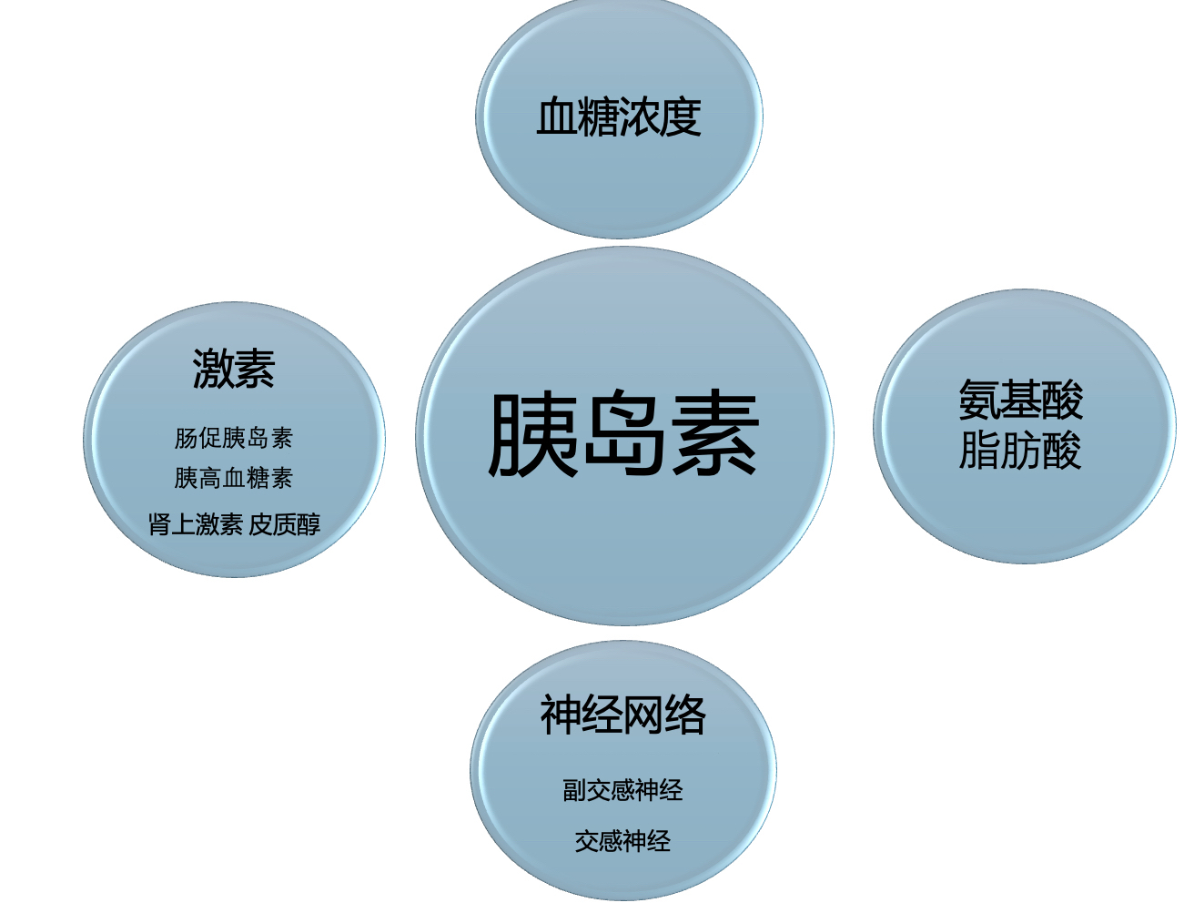 有关胰岛素和血糖系列， 系列 2 ：身体里的“信号江湖”：是谁在给胰岛素发微信？